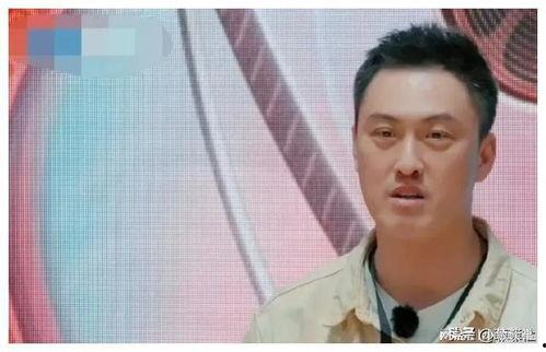 娱乐圈吃瓜说,揭秘明星背后的秘密与八卦 第2张 娱乐圈吃瓜说,揭秘明星背后的秘密与八卦 第2张