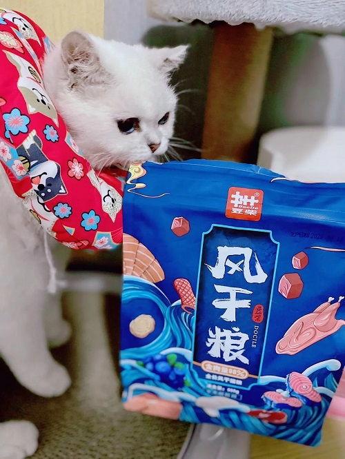 娱乐吃瓜君二豆猫,揭秘娱乐圈那些不为人知的幕后故事  第3张